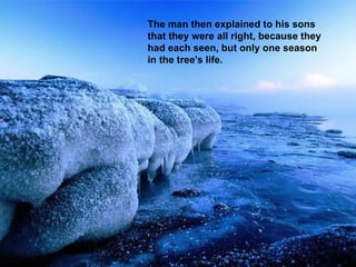 The man then explained to his sons  that they were all right, because they had each seen, but only one season  in the tree's life. 