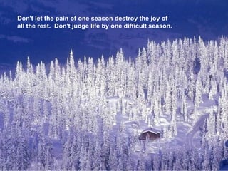 Don't let the pain of one season destroy the joy of  all the rest.  Don't judge life by one difficult season. 