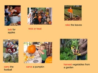 bob for 
apples 
trick or treat 
rake the leaves 
carry the 
football 
carve a pumpkin 
harvest vegetables from 
a garden 
 