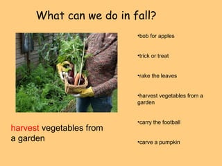 What can we do in fall? 
harvest vegetables from 
a garden 
•bob for apples 
•trick or treat 
•rake the leaves 
•harvest vegetables from a 
garden 
•carry the football 
•carve a pumpkin 
 