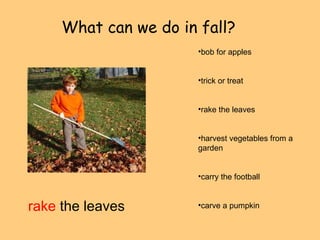 What can we do in fall? 
rake the leaves 
•bob for apples 
•trick or treat 
•rake the leaves 
•harvest vegetables from a 
garden 
•carry the football 
•carve a pumpkin 
 