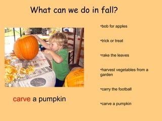 What can we do in fall? 
carve a pumpkin 
•bob for apples 
•trick or treat 
•rake the leaves 
•harvest vegetables from a 
garden 
•carry the football 
•carve a pumpkin 
 