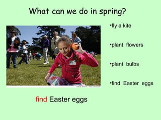 What can we do in spring? 
•fly a kite 
•plant flowers 
•plant bulbs 
•find Easter eggs 
find Easter eggs 
 