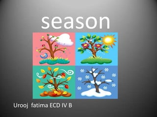 season

Urooj fatima ECD IV B

 