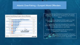 Atlantic Over-Fishing – Europe’s Worst Offenders
Bycatch is defined as unwanted fish and other marine species caught durin...