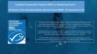 Seaspiracy on Sheds Light on Dark Commercial Fishing Industry
