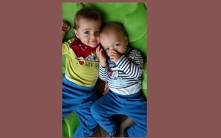 Data Management Plattformen für Search