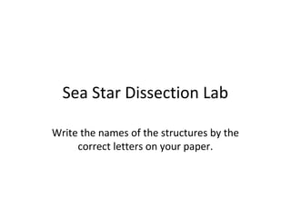 Sea Star Dissection Lab
Write the names of the structures by the
correct letters on your paper.
 