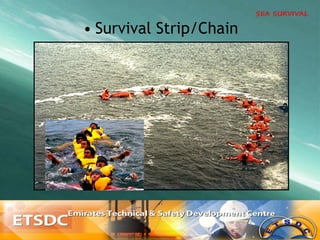 • Survival Strip/Chain
 