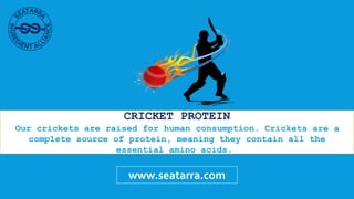 CRICKET PROTEIN
Our crickets are raised for human consumption. Crickets are a
complete source of protein, meaning they con...