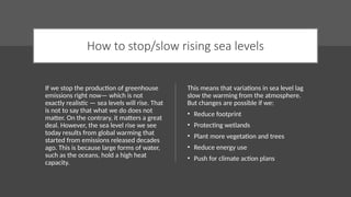 How to stop/slow rising sea levels
If we stop the production of greenhouse
emissions right now— which is not
exactly realistic — sea levels will rise. That
is not to say that what we do does not
matter. On the contrary, it matters a great
deal. However, the sea level rise we see
today results from global warming that
started from emissions released decades
ago. This is because large forms of water,
such as the oceans, hold a high heat
capacity.
This means that variations in sea level lag
slow the warming from the atmosphere.
But changes are possible if we:
• Reduce footprint
• Protecting wetlands
• Plant more vegetation and trees
• Reduce energy use
• Push for climate action plans
 