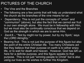 PICTURES OF THE CHURCH
• The Vine and the Branches
• The following are a few points that will help us understand what
the church as the branches of the vine means for us:
• Dependency. This is not just the concepts of “union” and
“communion” (above), but also the fact that we cannot ear fruit
in our own strength alone. We must be in fellowship with Him,
but we must also be continually conscious that we depend on
God as the strength in which we are to serve Him.
• Zec4:6 – “’Not by might nor by power, but by my Spirit,’ says
the LORD Almighty.”
• Bearing fruit. This is not just the purpose of this figure but also
the point of the entire Christian life. Too many Christians act
like they believe that their purpose on earth is to either enjoy
life, or to wait for death and heaven. However, God has left us
here for a definite purpose, and this figure speaks to that
purpose. This is not just “winning people to Christ” but is also
using our lives as He wishes to further His Kingdom.
 