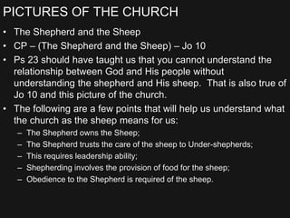 PICTURES OF THE CHURCH
• The Shepherd and the Sheep
• CP – (The Shepherd and the Sheep) – Jo 10
• Ps 23 should have taught us that you cannot understand the
relationship between God and His people without
understanding the shepherd and His sheep. That is also true of
Jo 10 and this picture of the church.
• The following are a few points that will help us understand what
the church as the sheep means for us:
– The Shepherd owns the Sheep;
– The Shepherd trusts the care of the sheep to Under-shepherds;
– This requires leadership ability;
– Shepherding involves the provision of food for the sheep;
– Obedience to the Shepherd is required of the sheep.
 