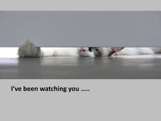 I’ve been watching you ….. <br />