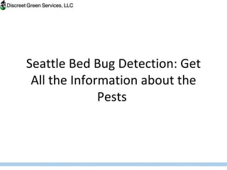 Seattle Bed Bug Detection: Get All the Information about the Pests  