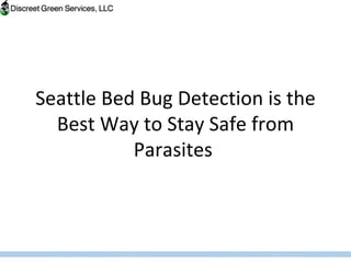 Seattle Bed Bug Detection is the Best Way to Stay Safe from Parasites  