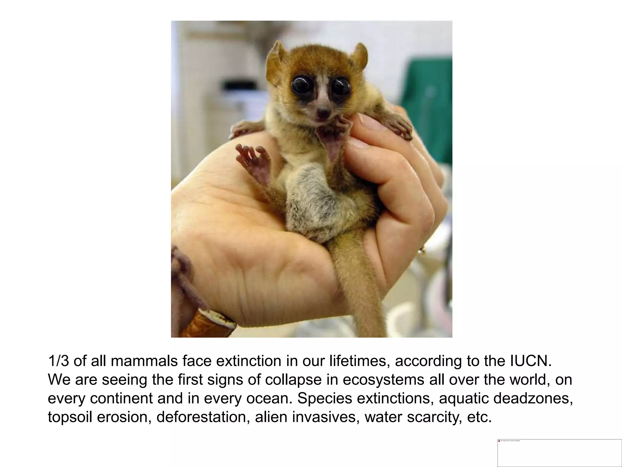 1/3 of all mammals face extinction in our lifetimes, according to the IUCN.
We are seeing the first signs of collapse in ecosystems all over the world, on
every continent and in every ocean. Species extinctions, aquatic deadzones,
topsoil erosion, deforestation, alien invasives, water scarcity, etc.
 