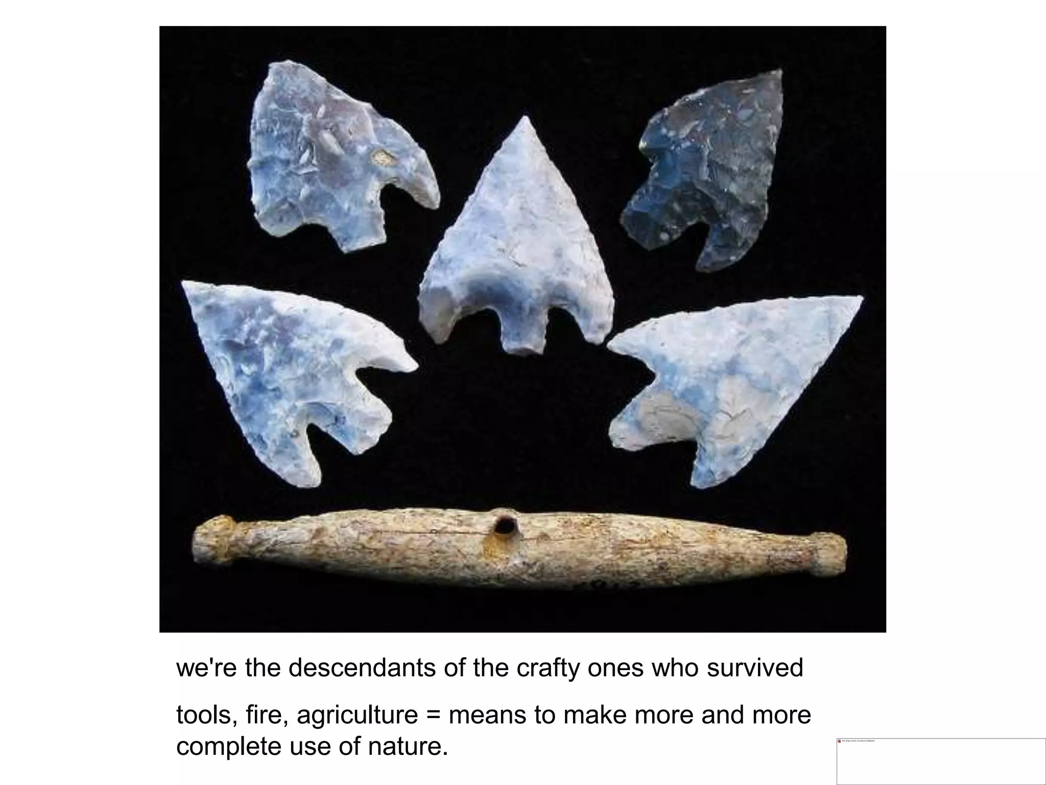 we're the descendants of the crafty ones who survived
tools, fire, agriculture = means to make more and more
complete use of nature.
 