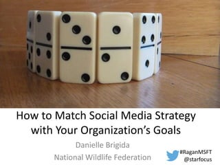 How to Match Social Media Strategy 
with Your Organization’s Goals 
Danielle Brigida 
National Wildlife Federation 
#RaganMSFT 
@starfocus 
 