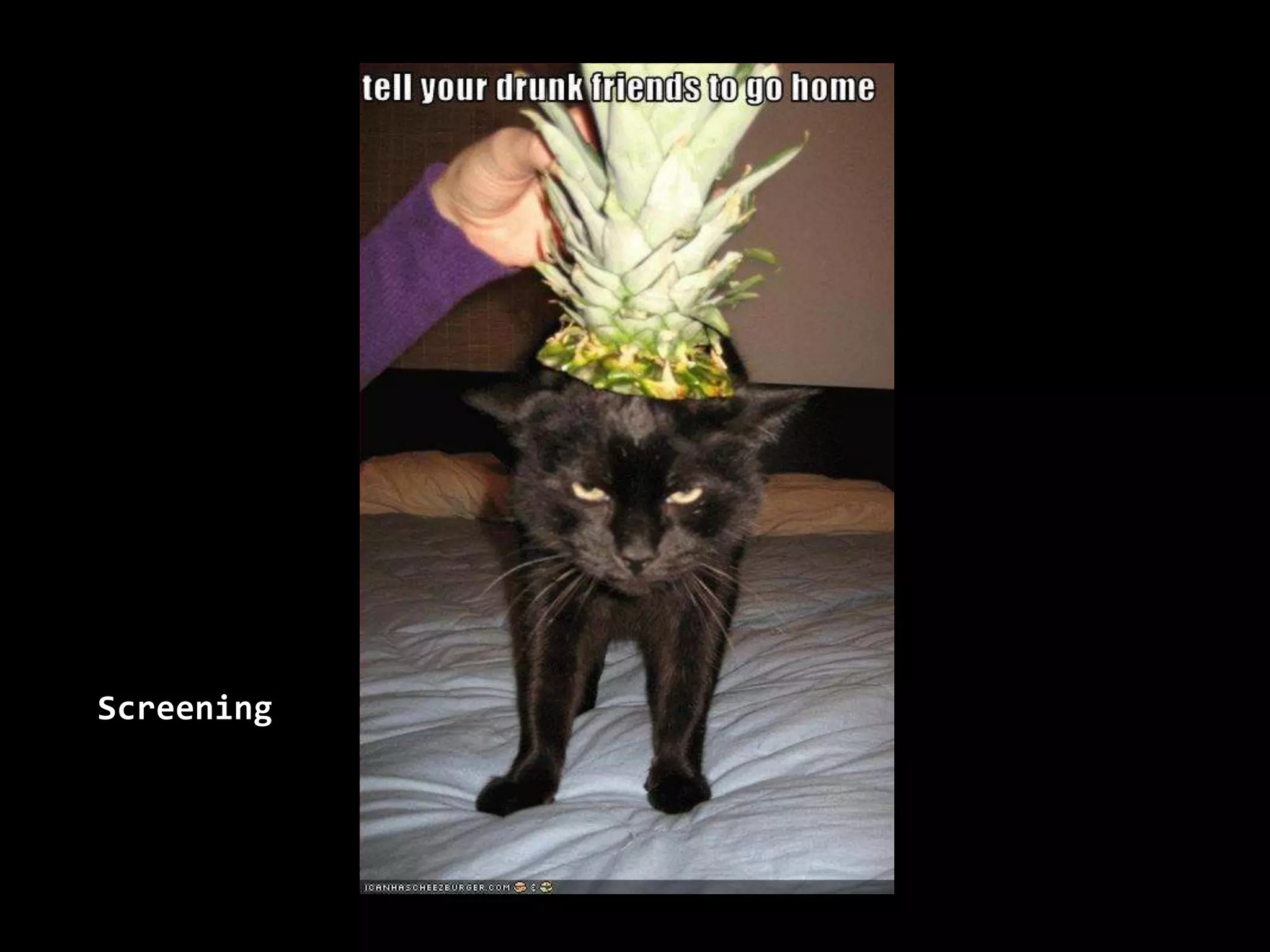 Scott Porad at Seattle Tech Startups on User Generated Content - May 2009