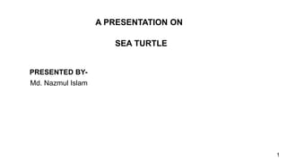 A PRESENTATION ON
SEA TURTLE
PRESENTED BY-
Md. Nazmul Islam
1
 