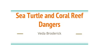 Sea Turtle and Coral Reef
Dangers
Veda Broderick
 