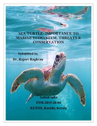 Ashish sahu
FSM-2019-20-04
KUFOS, Kochhi, Kerala
SEA TURTLE- IMPORTANCE TO
MARINE ECOSYSTEM, THREATS &
CONSERVATION
Submitted to,
Dr. Rajeev Raghvan
 