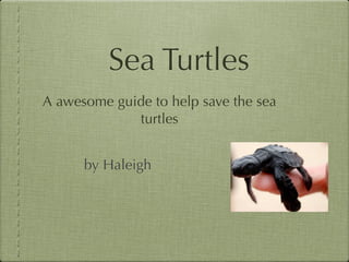 Sea Turtles
A awesome guide to help save the sea
             turtles


      by Haleigh
 