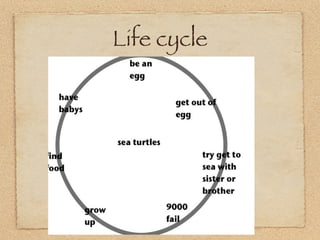 Life cycle
 