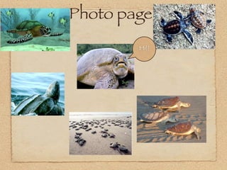 Photo page
        Hi!!
 