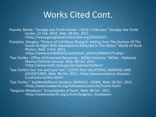 (Sea Turtles)"Sea Turtles! See 'em and Save 'em." 