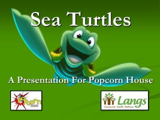 Sea Turtles

A Presentation For Popcorn House
 