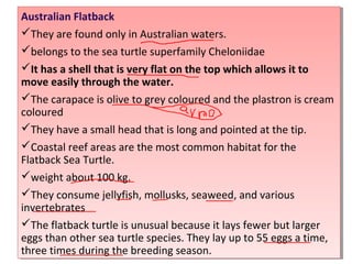 Australian Flatback
They are found only in Australian waters.
belongs to the sea turtle superfamily Cheloniidae
It has a shell that is very flat on the top which allows it to
move easily through the water.
The carapace is olive to grey coloured and the plastron is cream
coloured
They have a small head that is long and pointed at the tip.
Coastal reef areas are the most common habitat for the
Flatback Sea Turtle.
weight about 100 kg.
They consume jellyfish, mollusks, seaweed, and various
invertebrates
The flatback turtle is unusual because it lays fewer but larger
eggs than other sea turtle species. They lay up to 55 eggs a time,
three times during the breeding season.
Australian Flatback
They are found only in Australian waters.
belongs to the sea turtle superfamily Cheloniidae
It has a shell that is very flat on the top which allows it to
move easily through the water.
The carapace is olive to grey coloured and the plastron is cream
coloured
They have a small head that is long and pointed at the tip.
Coastal reef areas are the most common habitat for the
Flatback Sea Turtle.
weight about 100 kg.
They consume jellyfish, mollusks, seaweed, and various
invertebrates
The flatback turtle is unusual because it lays fewer but larger
eggs than other sea turtle species. They lay up to 55 eggs a time,
three times during the breeding season.
 