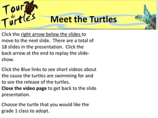Meet the Turtles Click the right arrow below the slides to move to the next slide.  There are a total of  18 slides in the presentation.  Click the  back arrow at the end to replay the slide-show. Click the Blue links to see short videos about the cause the turtles are swimming for and to see the release of the turtles.   Close the video page to get back to the slide presentation.  Choose the turtle that you would like the grade 1 class to adopt. 