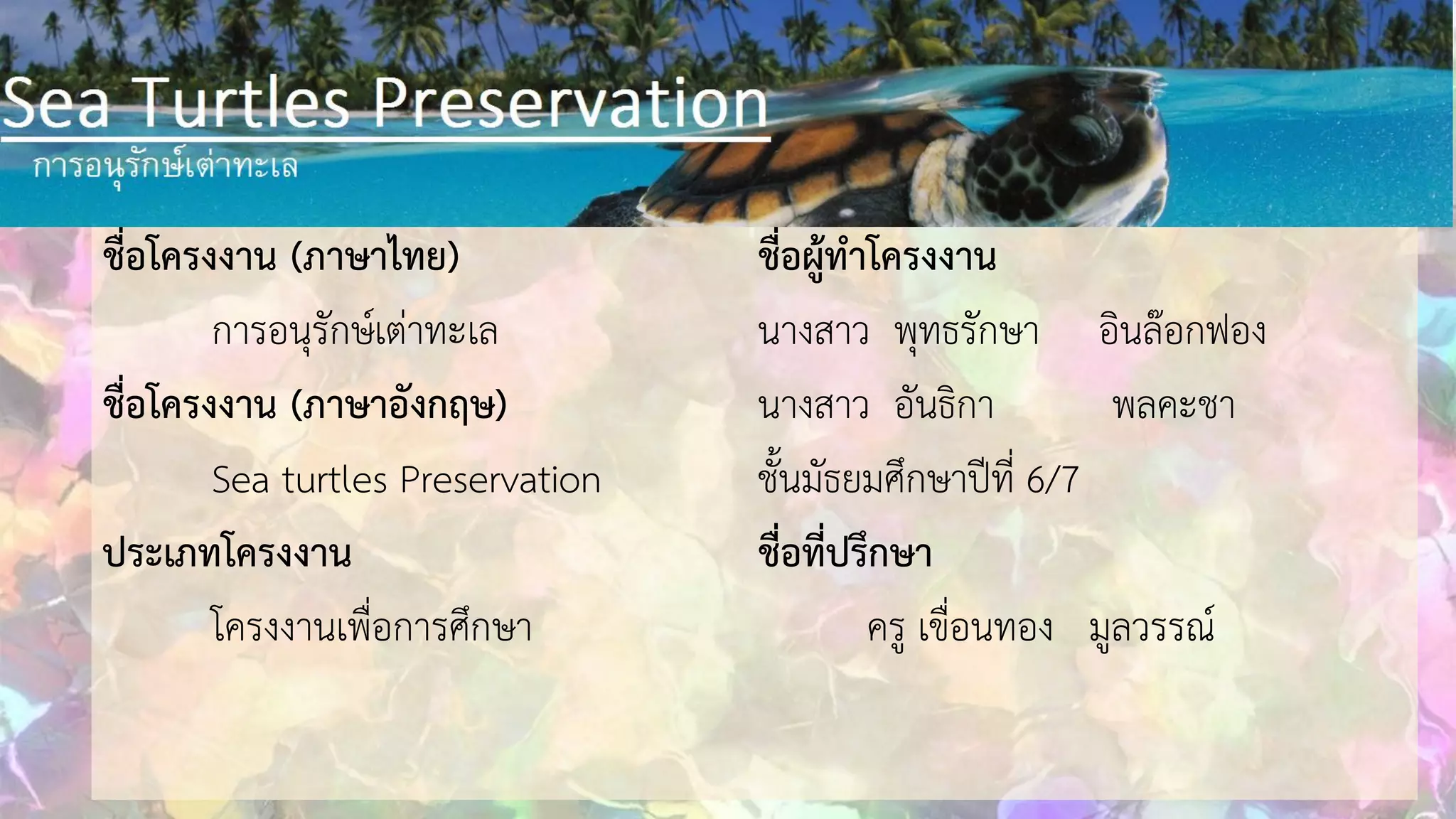 A closer look at Methods To Conserve Sea Turtles
