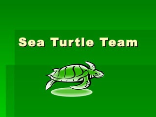 Sea Turtle Team 