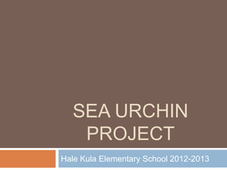 SEA URCHIN
   PROJECT
Hale Kula Elementary School 2012-2013
 