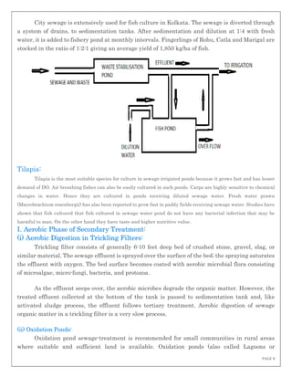 PAGE 8
City sewage is extensively used for fish culture in Kolkata. The sewage is diverted through
a system of drains, to sedimentation tanks. After sedimentation and dilution at 1:4 with fresh
water, it is added to fishery pond at monthly intervals. Fingerlings of Rohu, Catla and Marigal are
stocked in the ratio of 1:2:1 giving an average yield of 1,850 kg/ha of fish.
Tilapia:
Tilapia is the most suitable species for culture in sewage irrigated ponds because it grows fast and has lesser
demand of DO. Air breathing fishes can also be easily cultured in such ponds. Carps are highly sensitive to chemical
changes in water. Hence they are cultured in ponds receiving diluted sewage water. Fresh water prawn
(Macrobrachium rosenbergii) has also been reported to grow fast in paddy fields receiving sewage water. Studies have
shown that fish cultured that fish cultured in sewage water pond do not have any bacterial infection that may be
harmful to man. On the other hand they have taste and higher nutritive value.
I. Aerobic Phase of Secondary Treatment:
(i) Aerobic Digestion in Trickling Filters:
Trickling filter consists of generally 6-10 feet deep bed of crushed stone, gravel, slag, or
similar material. The sewage effluent is sprayed over the surface of the bed; the spraying saturates
the effluent with oxygen. The bed surface becomes coated with aerobic microbial flora consisting
of microalgae, micro-fungi, bacteria, and protozoa.
As the effluent seeps over, the aerobic microbes degrade the organic matter. However, the
treated effluent collected at the bottom of the tank is passed to sedimentation tank and, like
activated sludge process, the effluent follows tertiary treatment. Aerobic digestion of sewage
organic matter in a trickling filter is a very slow process.
(ii) Oxidation Ponds:
Oxidation pond sewage-treatment is recommended for small communities in rural areas
where suitable and sufficient land is available. Oxidation ponds (also called Lagoons or
 