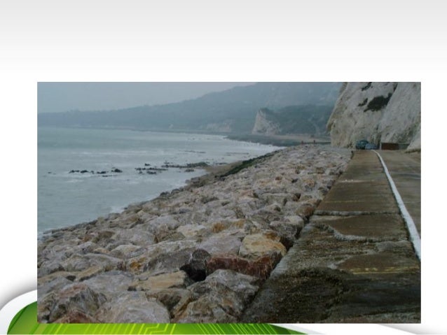 Sea wall and its sustainability