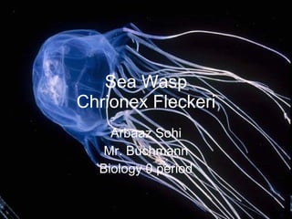Sea Wasp Chrionex Fleckeri Arbaaz Sohi Mr. Buchmann Biology 0 period 