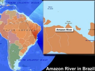 Amazon River in Brazil
Amazon River
 