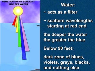 Water:
~ acts as a filter
~ scatters wavelengths
starting at red end
the deeper the water
the greater the blue
Below 90 feet:
dark zone of blues,
violets, grays, blacks,
and nothing else
 
