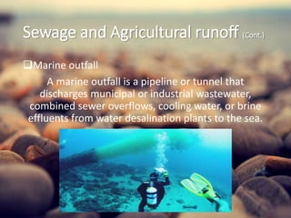 Sea water pollution | PPTX