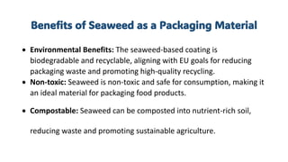 Seaweed as an alternative to plastic in food packaging.pdf