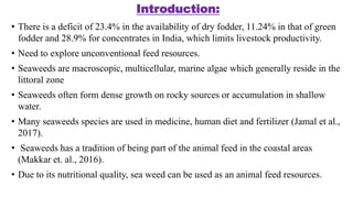Photo inspiration: Fresh Look at Sea Weed In Animal Feed Use And Limitations