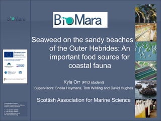 Seaweed on the sandy beaches
of the Outer Hebrides: An
important food source for
coastal fauna
Kyla Orr (PhD student)
Supervisors: Sheila Heymans, Tom Wilding and David Hughes
Scottish Association for Marine ScienceCoordination Centre:
Scottish Association for Marine
Science, Oban, Scotland
T: +44 (0)1631 559000
F: +44 (0)1631 559001
E: biomara@sams.ac.uk
W: www.biomara.org
Project supported by the INTERREG IVA
Programme Managed by SEUPB
 
