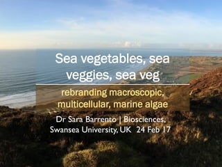 1
Sea vegetables, sea
veggies, sea veg
rebranding macroscopic,
multicellular, marine algae
Dr Sara Barrento | Biosciences,
Swansea University, UK 24 Feb 17
 