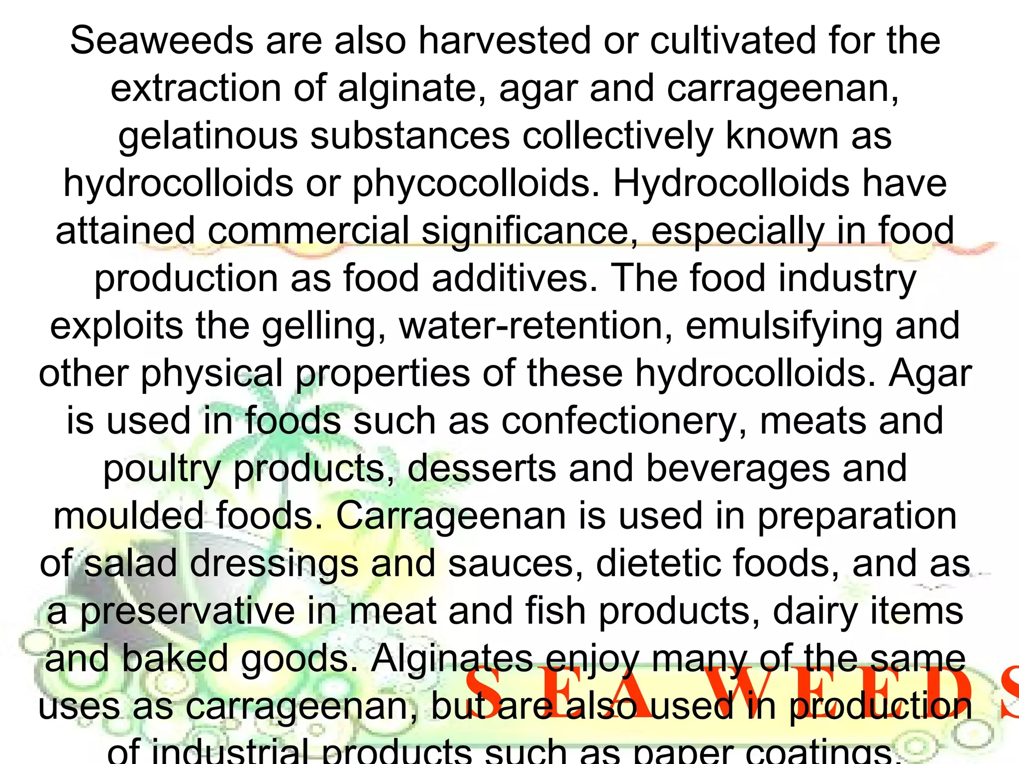 SEA WEEDS Seaweeds are also harvested or cultivated for the extraction of alginate, agar and carrageenan, gelatinous substances collectively known as hydrocolloids or phycocolloids. Hydrocolloids have attained commercial significance, especially in food production as food additives. The food industry exploits the gelling, water-retention, emulsifying and other physical properties of these hydrocolloids. Agar is used in foods such as confectionery, meats and poultry products, desserts and beverages and moulded foods. Carrageenan is used in preparation of salad dressings and sauces, dietetic foods, and as a preservative in meat and fish products, dairy items and baked goods. Alginates enjoy many of the same uses as carrageenan, but are also used in production of industrial products such as paper coatings, adhesives, dyes, gels, explosives and in processes such as paper sizing, textile printing, hydro-mulching and drilling. 