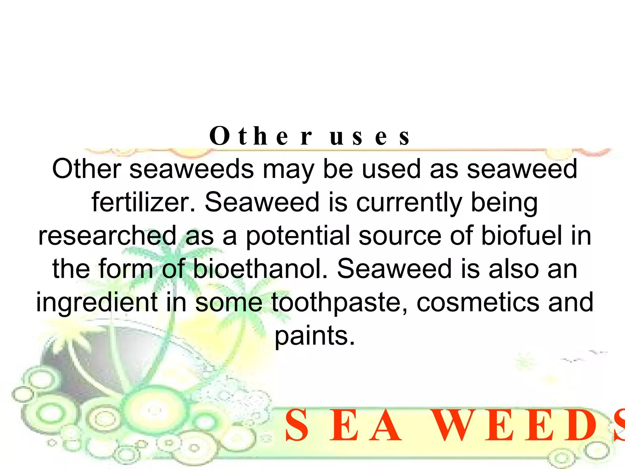 SEA WEEDS Other uses Other seaweeds may be used as seaweed fertilizer. Seaweed is currently being researched as a potential source of biofuel in the form of bioethanol. Seaweed is also an ingredient in some toothpaste, cosmetics and paints. 