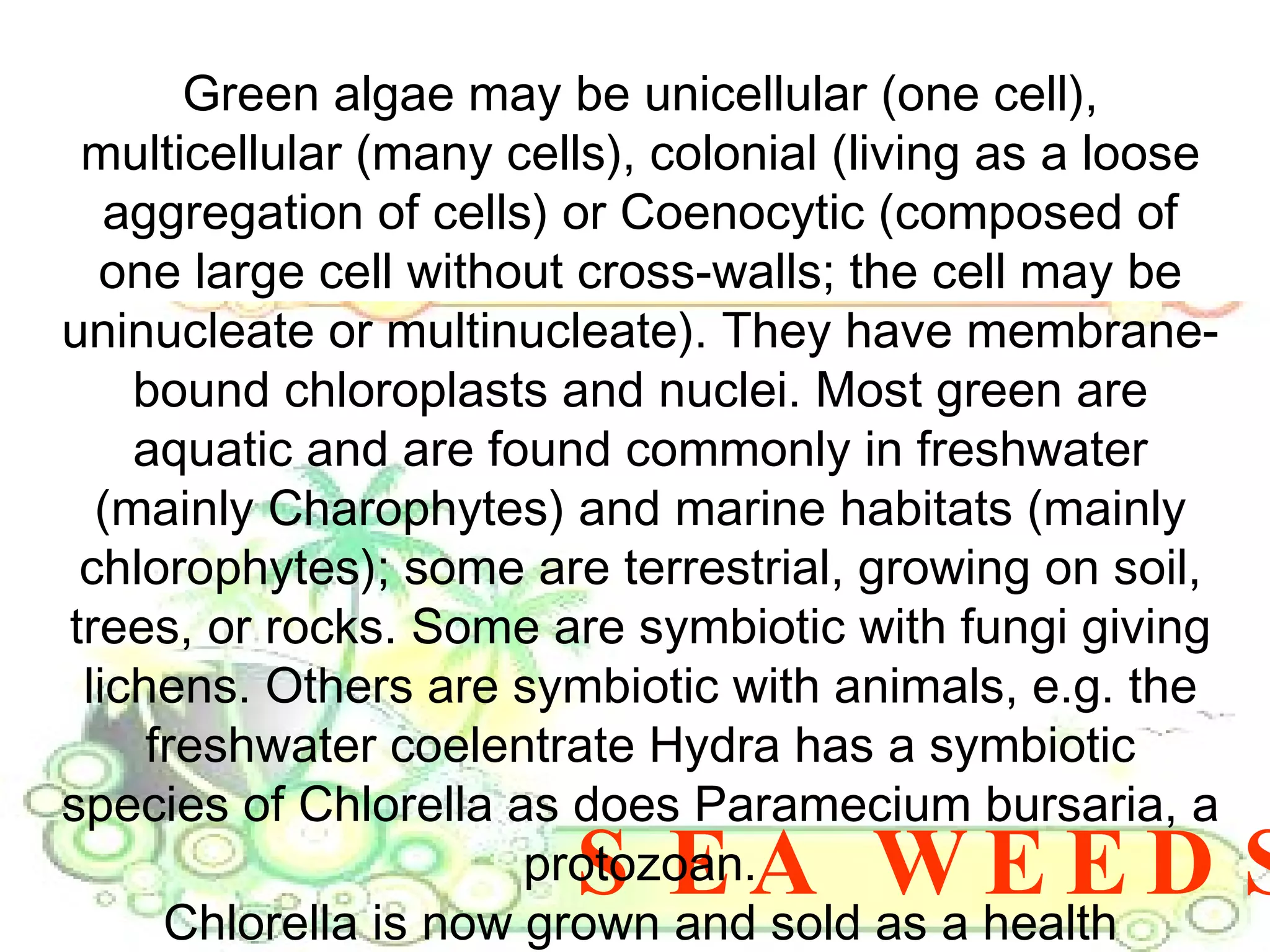 SEA WEEDS Green algae may be unicellular (one cell), multicellular (many cells), colonial (living as a loose aggregation of cells) or Coenocytic (composed of one large cell without cross-walls; the cell may be uninucleate or multinucleate). They have membrane-bound chloroplasts and nuclei. Most green are aquatic and are found commonly in freshwater (mainly Charophytes) and marine habitats (mainly chlorophytes); some are terrestrial, growing on soil, trees, or rocks. Some are symbiotic with fungi giving lichens. Others are symbiotic with animals, e.g. the freshwater coelentrate Hydra has a symbiotic species of Chlorella as does Paramecium bursaria, a protozoan. Chlorella is now grown and sold as a health supplement and Dunaliella is grown as a source of beta-carotene.  